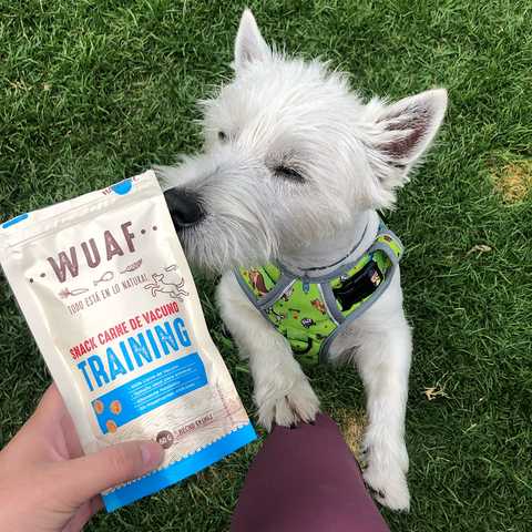 Pack 7un. Wuaf Receta Casera, Jerky y Adiestramiento