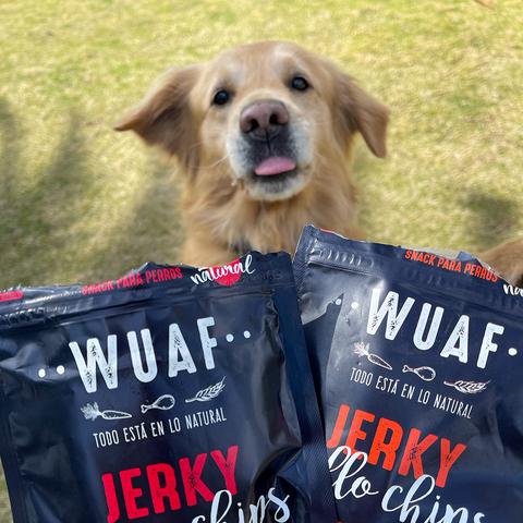 Pack 4un. Wuaf Receta Casera 100gr y Jerky Chips 40gr