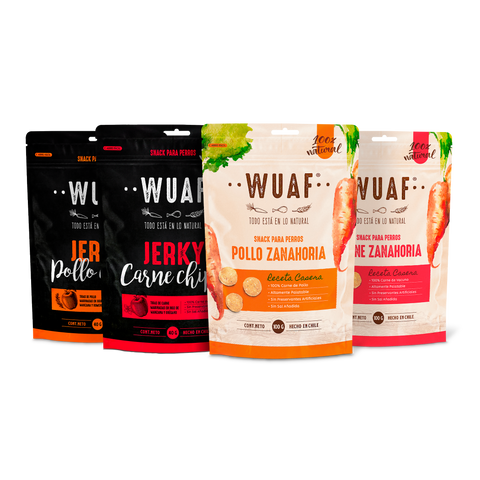 Pack 4un. Receta Casera 100gr y Jerky Chips 40gr