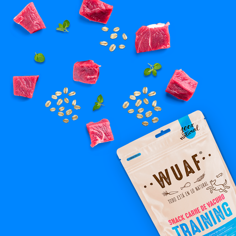 Snack de Adiestramiento Carne 60gr