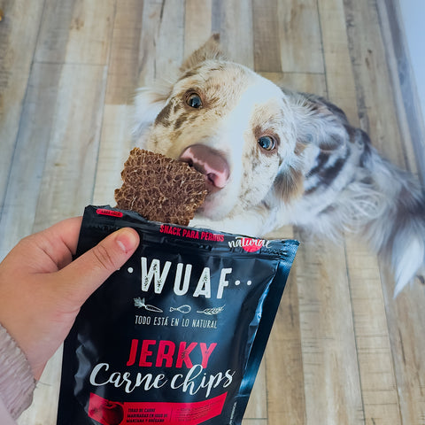 Pack 3un. Wuaf Jerky Chips Carne 40gr