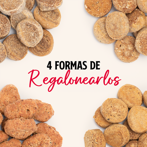 Pack 4un. Snack Receta Casera Wuaf Variedades 100g