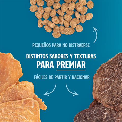 Pack 6un. Training Kit