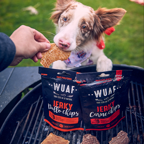 Pack 4un. Wuaf Jerky Chips Carne y Pollo 40 gr