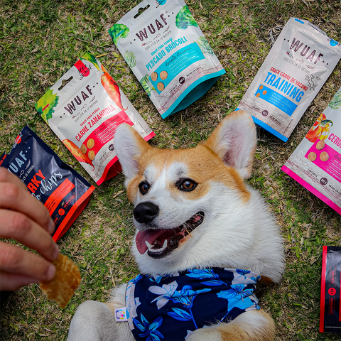 Pack 7un. Wuaf Receta Casera, Jerky y Adiestramiento