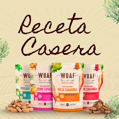 Receta Casera