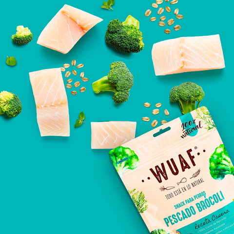 Snack Receta Casera Pescado Brócoli 100gr