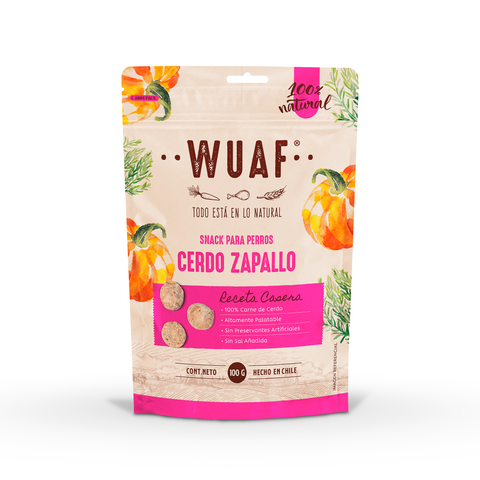 Snack Receta Casera Cerdo Zapallo 100gr